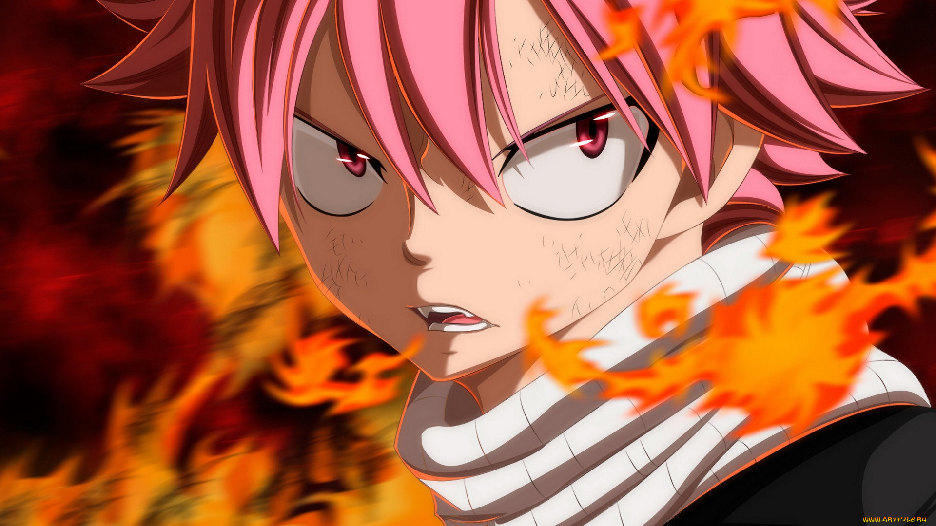 , fairy tail, 